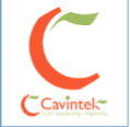 CAVINTEK